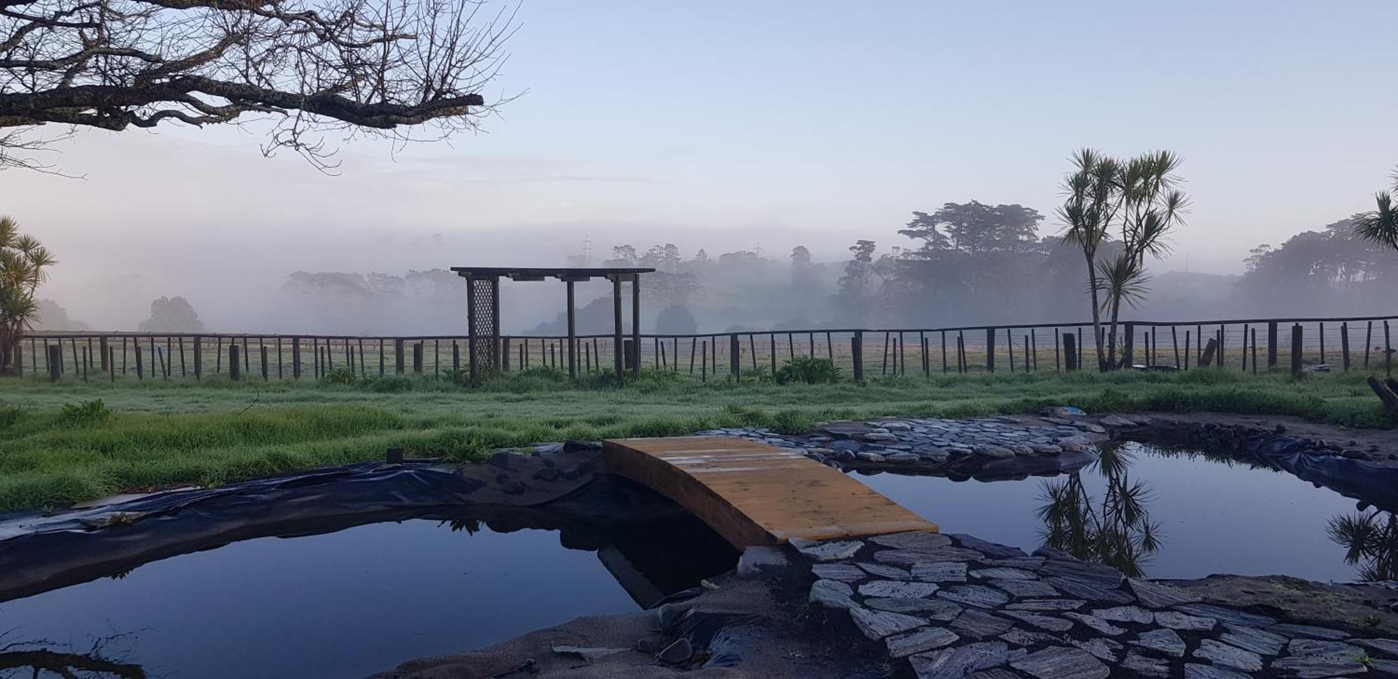 Holiday House In Totara Park Auckland Luaran gambar